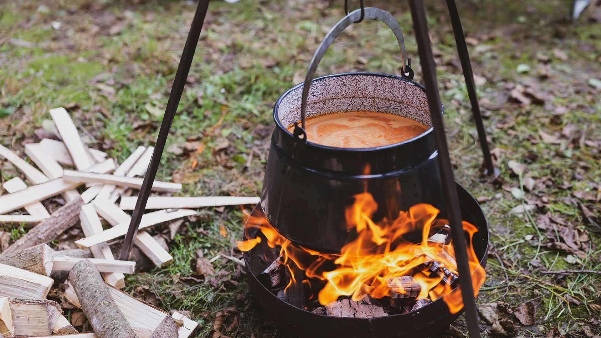 Stone Soup Software Development